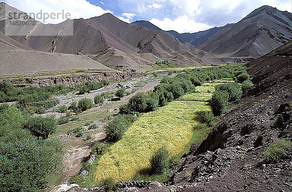 LADAKH  INDIEN