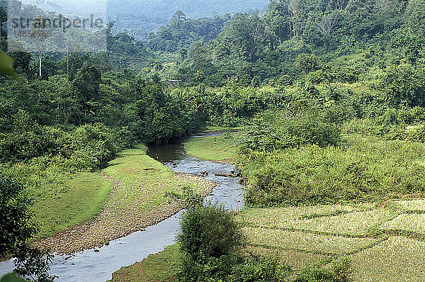 LAOS