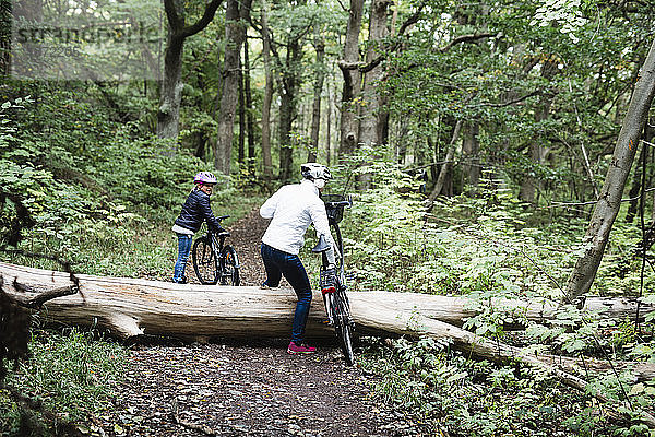Radfahrer gehen über umgestürzten Baum