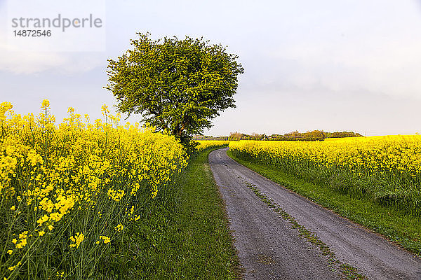 Ländliche Landschaft