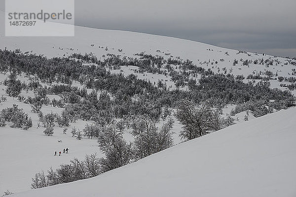 Winterlandschaft