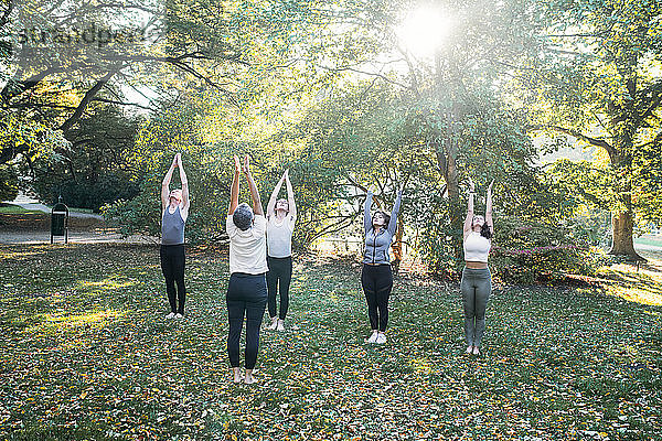 Eine Gruppe von Frauen praktiziert Yoga im Park