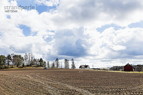 Feld an einem sonnigen Tag