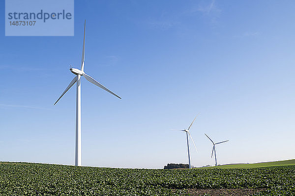 Windkraftanlagen im Feld