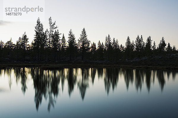 Silhouetten von Bäumen  die sich im See spiegeln