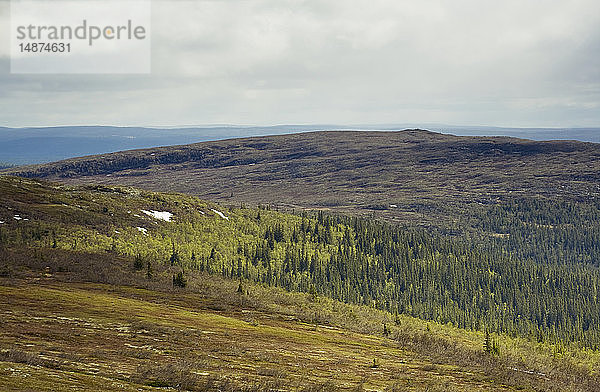 Wald- und Berglandschaft