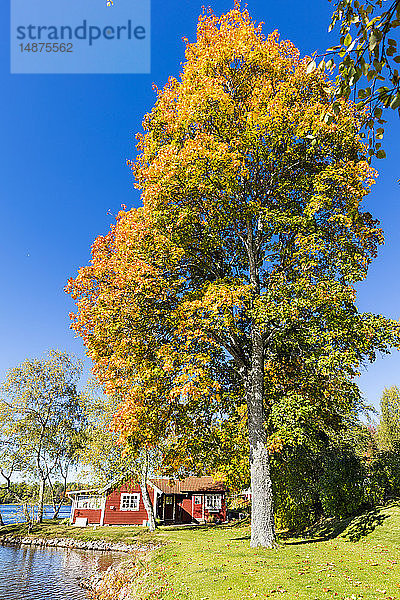 Seeufer im Herbst