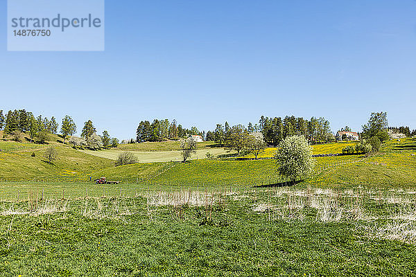 Ländliche Landschaft