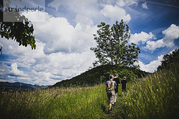 Jungen wandern