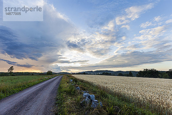 Blick auf die Landstraße