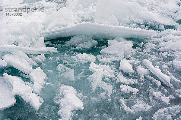 Packeis  Murchinson-Bucht  Murchisonfjord  Nordaustlandet  Svalbard  Norwegen