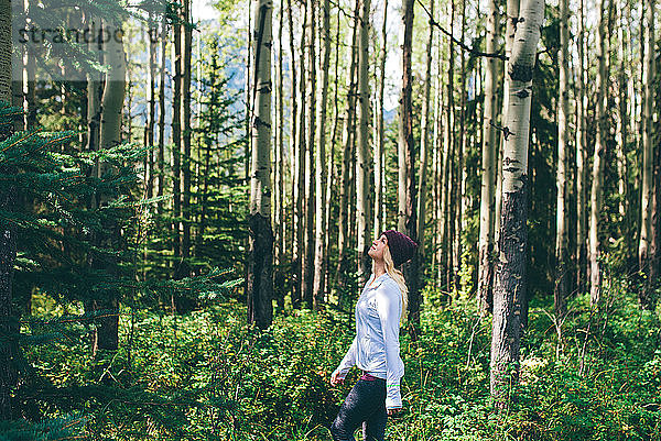 Frau geniesst Wald  Banff  Kanada