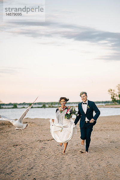 Romantisches Brautpaar beim Barfuss-Laufen am Seeufer  Lake Ontario  Toronto  Kanada
