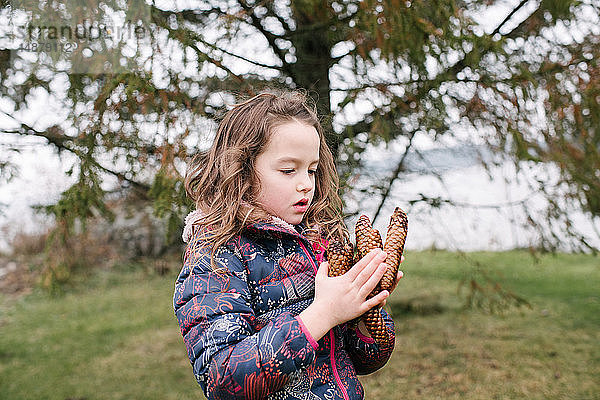 Mädchen bewundert Sammlung brauner Kiefernzapfen  Kingston  Ontario  Kanada