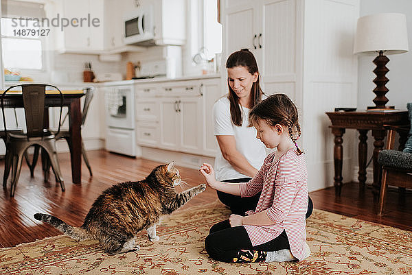 Mutter beobachtet Tochter beim Spielen mit Katze zu Hause