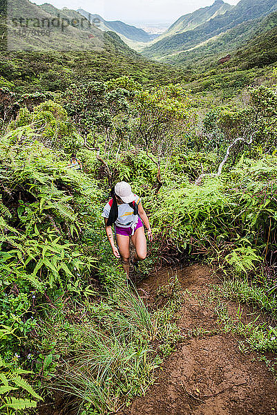 Wandern im Regenwald  Moanalua Valley Trail  Oahu  Hawaii