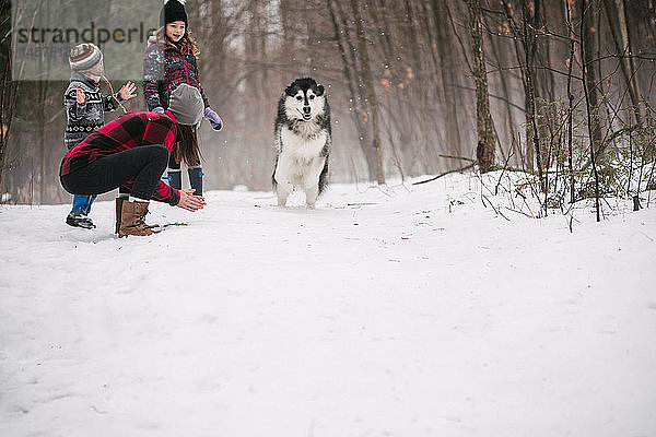 Familie mit Haushund spielt in Schneelandschaft