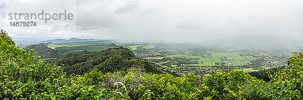 Dichter Wald  Kuilau Ridge Trail  Kauai  Hawaii