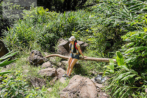 Wanderer  der sich auf einem Baumstamm ausruht  Waipipi Trail  Maui  Hawaii