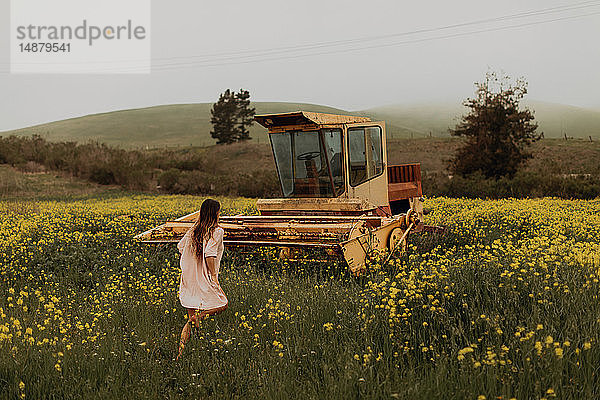 Junge Frau wandert auf einem Feld mit gelben Wildblumen an einem verlassenen Mähdrescher vorbei  Jalama  Kalifornien  USA