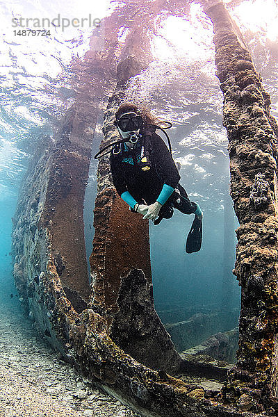 Unterwasseraufnahme einer Taucherin bei der Erkundung des Wracks der Sapona  Alice Town  Bimini  Bahamas