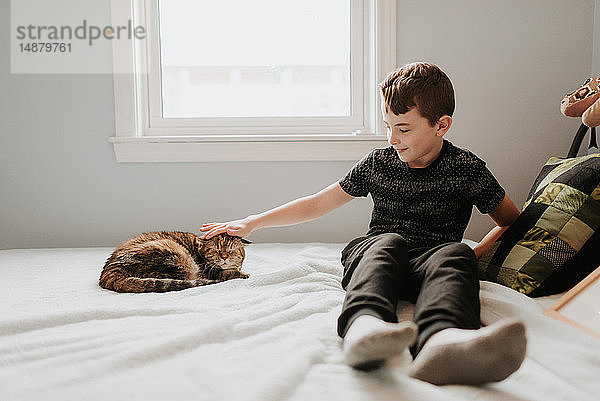 Junge streichelt Katzenkopf auf Bett