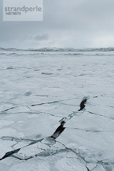 Packeis  Murchinson-Bucht  Murchisonfjord  Nordaustlandet  Svalbard  Norwegen