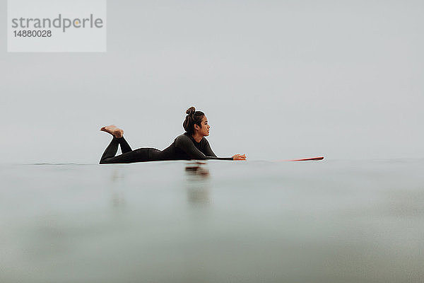 Junge Surferin liegt auf einem Surfbrett in ruhiger  nebliger See  Ventura  Kalifornien  USA