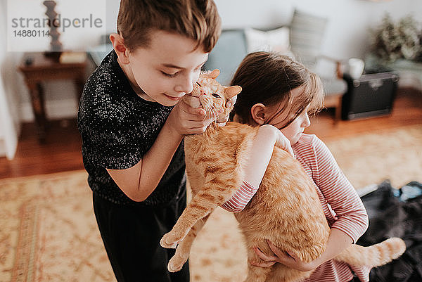 Kinder spielen zu Hause mit Katze