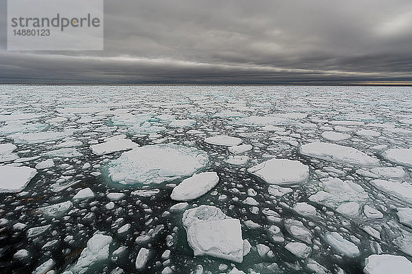 Schwimmende Packeisstücke  Polareiskappe  81nördlich von Spitzbergen  Norwegen