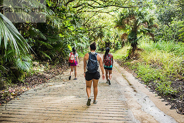Wanderer auf dem Moanalua Valley Trail  Oahu  Hawaii