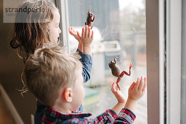 Kinder spielen mit Fröschen am Fenster
