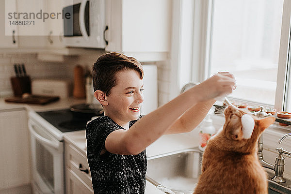 Junge spielt mit Katze auf Küchenarbeitsplatte