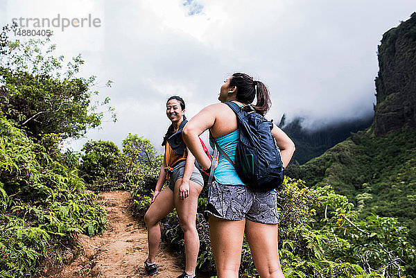 Wanderer  die im Regenwald wandern  Iao Valley  Maui  Hawaii