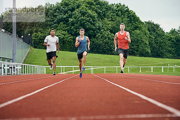 Läufer trainieren auf der Laufbahn