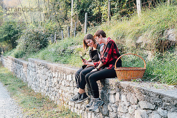 Beste Freunde sitzen auf einer Steinmauer und tauschen Textnachrichten aus  Rezzago  Lombardei  Italien