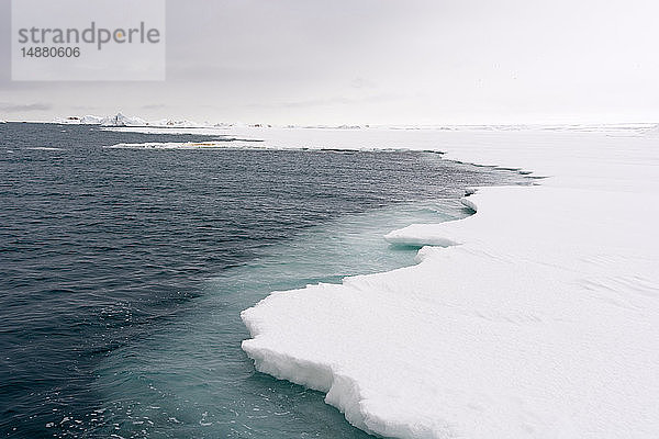 Meereis auf dem Arktischen Ozean  Brasvellbreen. südlich der Eiskappe von Austfonna  Nordaustlandet  Svalbard  Norwegen