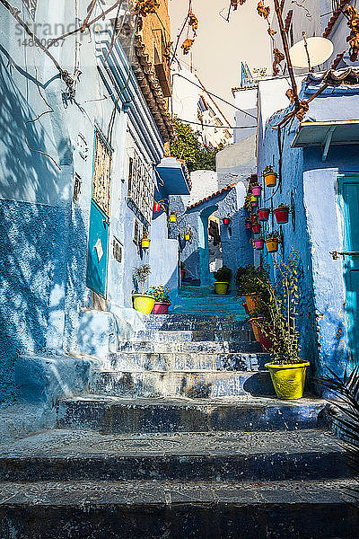 Blau gestrichene Hausaußenseiten im Treppenhaus  Chefchaouen  Marokko