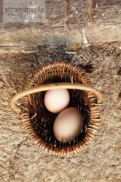 Zwei Eier im Korb