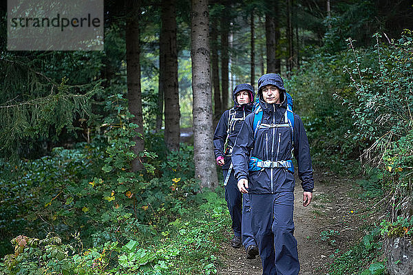 Junges Wanderpaar wandert mit Kapuzenanoraks durch den Wald  Manigod  Rhône-Alpes  Frankreich