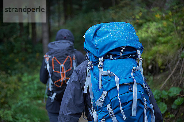 Junges Wanderpaar wandert mit Rucksäcken durch den Wald  Rückansicht  Manigod  Rhône-Alpes  Frankreich