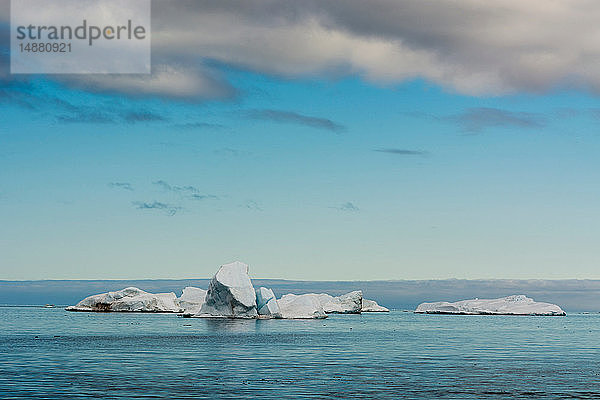 Blaue Meereslandschaft mit Eisbergen  Vibebukta  Austfonna  Nordaustlandet  Svalbard  Norwegen
