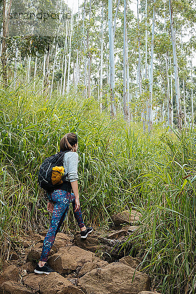 Wanderer erkundet Wald  Ella  Uva  Sri Lanka