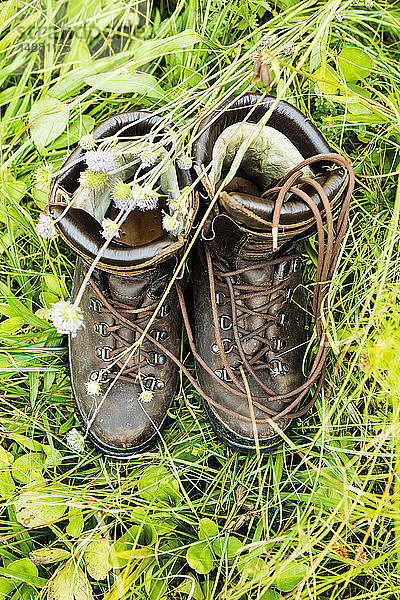 Ein Paar Stiefel auf Gras