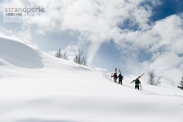 Männliche Skifahrer stapfen den schneebedeckten Berg hinauf  Rückansicht  Alpe-d'Huez  Rhône-Alpes  Frankreich