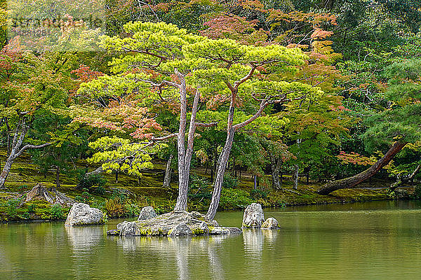 Gartenanlagen  zen-buddhistischer Tempel Kinkaku-ji (Tempel des Goldenen Pavillons)  AKA Rokuon-ji (Hirschgarten-Tempel)  Kyoto  Japan