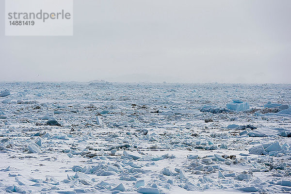 Eislandschaft und nebliger Horizont  Wahlenberg-Fjord  Nordaustlandet  Svalbard  Norwegen.