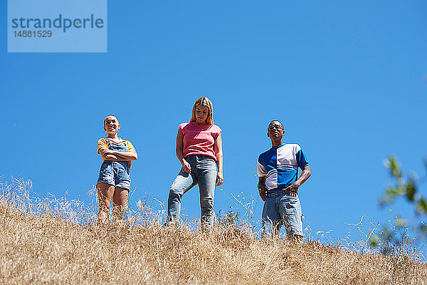 Drei junge erwachsene Freunde auf dem Gipfel eines Hügels im Park  Niedrigwinkelansicht  Los Angeles  Kalifornien  USA