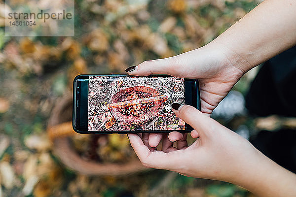 Frau fotografiert einen Korb mit Kastanien mit dem Handy