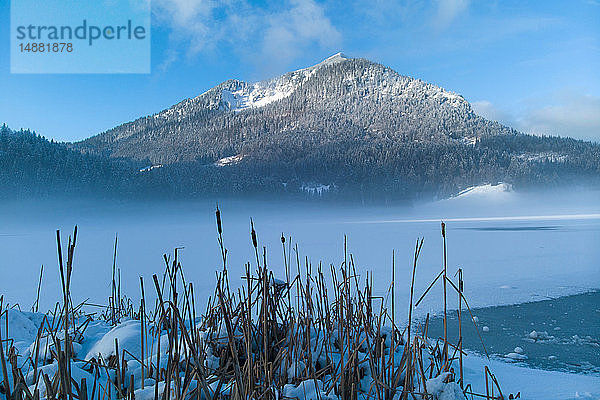 Winterlandschaft mit Nebel über dem Spitzingsee  Bayern  Deutschland